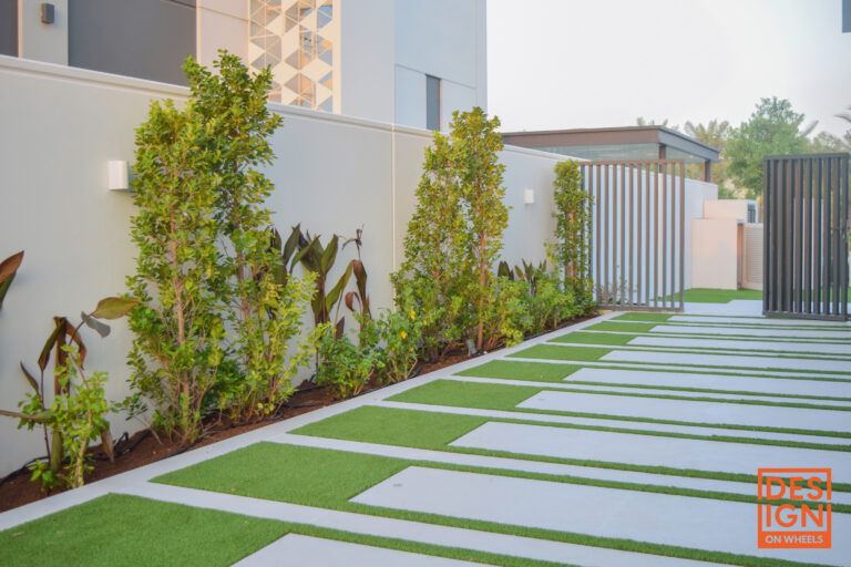 Contemporary garden with grass and concrete path, green shrub border, and minimalist white wall leading to a gated entrance.