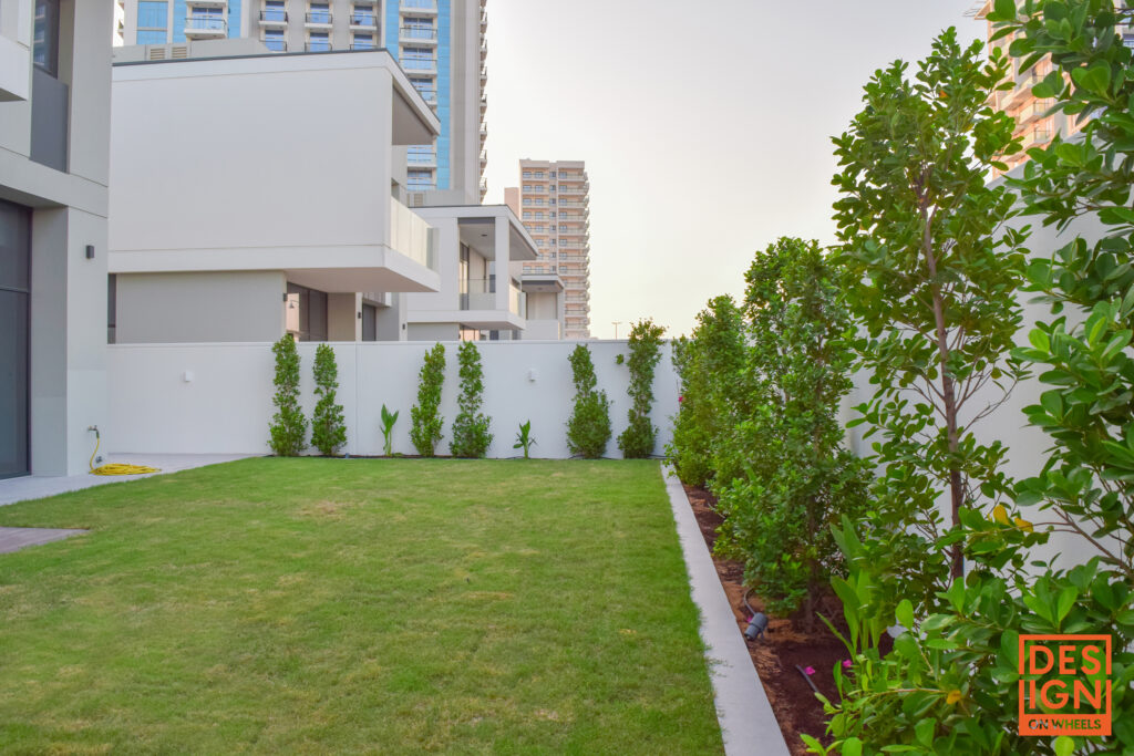 Modern backyard garden with green lawn, structured planting along white wall, and high-rise buildings in the background.